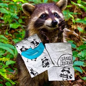 Lil Bandit 2T Adorable Raccoon 3 piece set